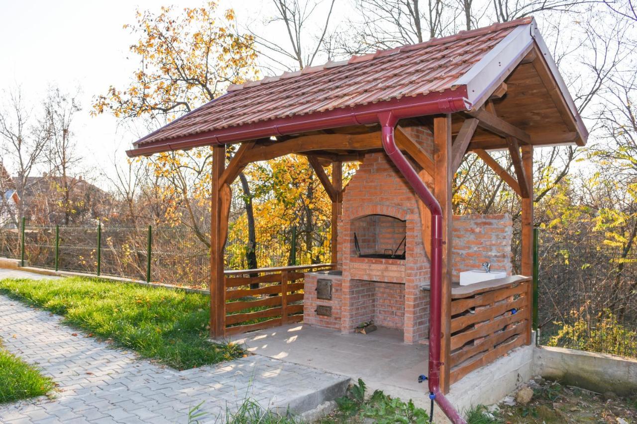 Tomis House Hotel Curtea De Arges Exterior photo